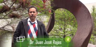 Cooperativismo y economía solidaria a la primera Constitución de la CDMX