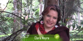 Defensa del agua en México