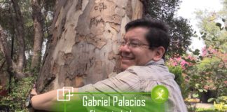 Árboles en el Día Mundial de la Tierra