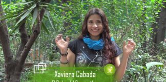 Organizaciones exigen disminuir uso de antibióticos en industria de comida rápida