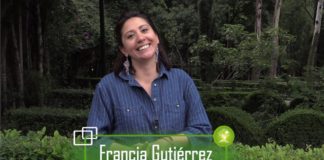 Urge perdón y reconciliación con el campo