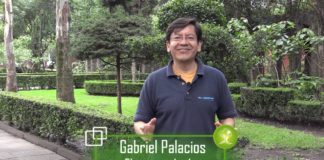 Continúa el daño a poblaciones de polinizadores