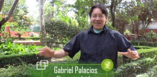 Solar Impulse II, primer vuelo impulsado sólo por energía solar