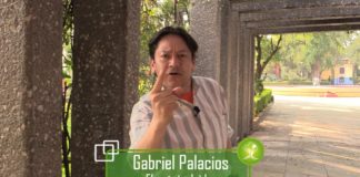 Desperdicio de agua, deforestación y aire sucio afectan derecho de capitalinos a un medio ambiente sano