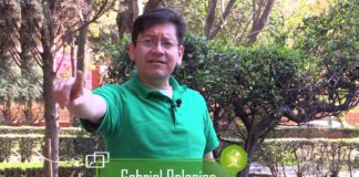 Emprendedores mexicanos transforman autos de combustión interna a eléctricos