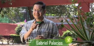 Investigadores confirman efectos positivos de la vegetación vs contaminantes atmosféricos