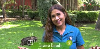 El gobierno vela por los intereses privados