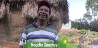 Contribuyendo a una alimentación sana, segura y soberana