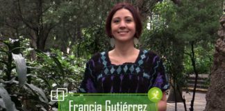 Demandan retirar del TLC al maíz y al frijol