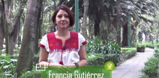 Ratificar el tratado comercial aumentaría el despojo a los pueblos indígenas