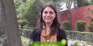 Importante encarar con responsabilidad y conciencia al sistema fraudulento