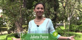 El mal comer incrementa padecimientos de obesidad y desnutrición en México