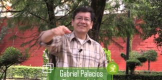 Más de 12 millones de toneladas de plástico terminan en los océanos: ONU