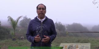 Cesder, educación para la resistencia