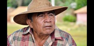 Comunidades mayas defienden la selva