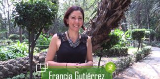 90% de alimentos industrializados tienen presencia de glifosato