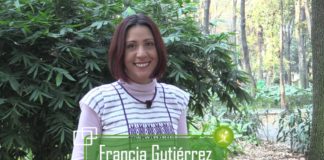 Año de TLC sin cuajar, tortillas contaminadas con transgénicos y Ley de Seguridad Interior que da más miedo que certeza