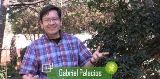 Estados Unidos busca modificar Plan de Energía Limpia para reactivar industria del carbón