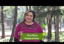 El 25 de noviembre es un día para levantar la voz y decir que no queremos vivir bajo violencia