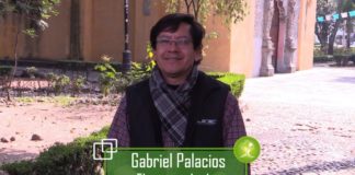 El mundo omite a la naturaleza como medida eficaz contra el calentamiento global