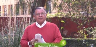 Las cúpulas desarrollan sus propuestas sin participación de cooperativas de base