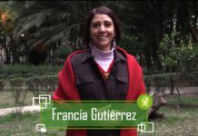 ¿Consumes tortillas con maíz transgénico o nixtamalizado?