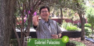 Acciones para reducir el impacto ambiental de los plásticos en el mundo