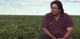 Cooperativas originarias de Canadá, modelo ajustado a usos y costumbres