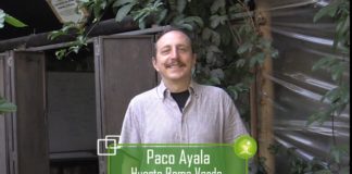 Primer meliponario en la Ciudad de México