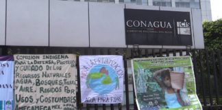 Un decreto no está por encima de la Constitución, la ciudadanía puede frenarlo