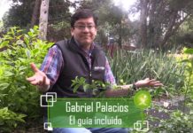 Bosques tropicales en América del Sur y África Central los más afectados