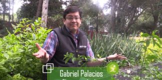 Bosques tropicales en América del Sur y África Central los más afectados