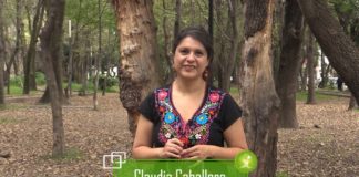 Prosumidores rompen la lógica del mercado