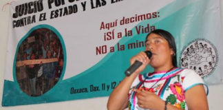 Oaxaca lleva a juicio a las mineras
