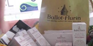 Biopiratería despoja a mayas de su meliponicultura ancestral