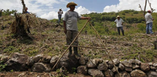 Naciones Unidas reconoce que cambio ambiental en comunidades puede causar migración