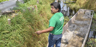 Imposible negar la importancia de la agroecología