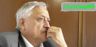 Cooperativas de producción deberían nombrar gerentes o administradores