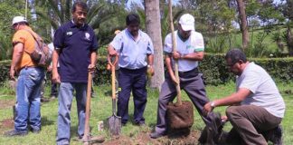 Reforesta la cooperativa Pascual en el Parque Tezozómoc
