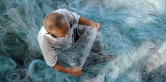 Cooperativas de pescadores y organizaciones presentan plan de pesca sustentable a AMLO