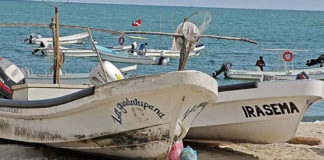 Cooperativistas pescadores denuncian fraude en Puerto Ángel y Huatulco