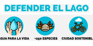 #YoPrefieroElLago invita a movilizarse en favor de la cuenca lagunar de Texcoco