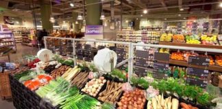 Campaña #YoSinPlásticos busca combatir la contaminación por plásticos en México