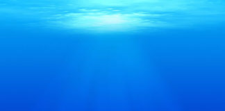 Llega la Economía Azul a Cuajimalpa