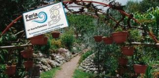 Feria Multitrueke visita a su magna mater