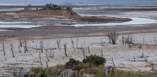 Sequía provocaría cierre del suministro de agua en Ciudad del Cabo, Sudáfrica