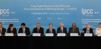 Expertos señalan que limitar el calentamiento global a 1.5 °C reduciría impactos del cambio climático