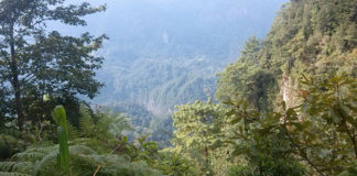 Comunidades del Pueblo Maseual ganan amparo contra concesiones mineras