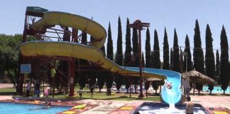 Cooperativa Pascual inicia limpieza de playas y reforestación en Acapulco