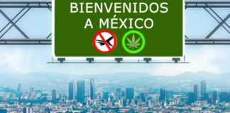 Se abre la puerta para cooperativas cannábicas